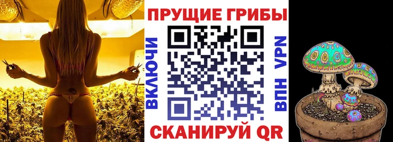 Галлюциногенные грибы Cubensis  omg вход  Можайск 