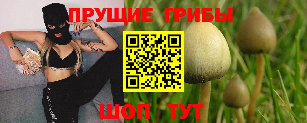 Галлюциногенные грибы ЛСД Можайск